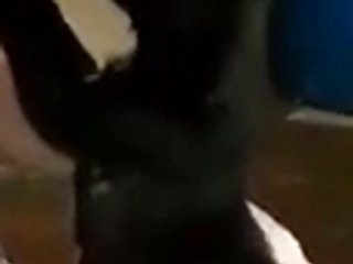 La Novia De Mi Amigo Perdió