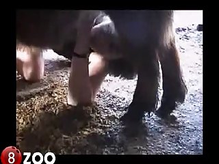 Swollen Cock. His Cock Twitches With Excitement In Her
