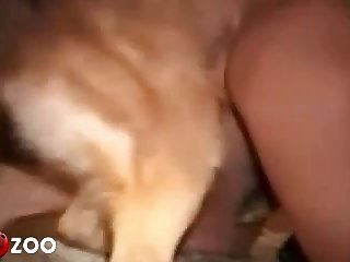 Horny Girl Grunts In Pleasure She Is So Close. Pussylicker S