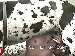 Little Pussy So Fucking Good