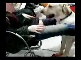 Xnxx Animal Girl Sex