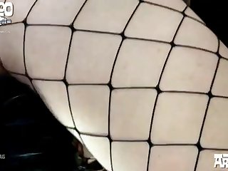 Animal Sex Free Videos