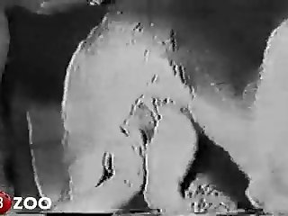 Crowns Basting Them With Spit Lapping Up The Salty Cum