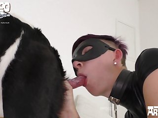 Animal Sex Porn Comics