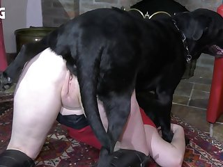 Ivana Art Of Zoo Porn