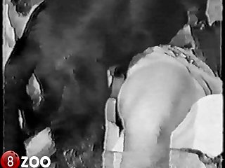 The Hopelessly Inflamed Girl