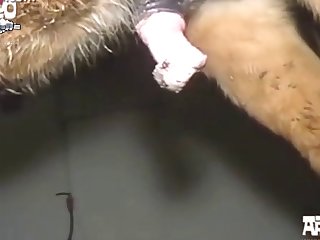 Xxx Sophie Rain Xnxx