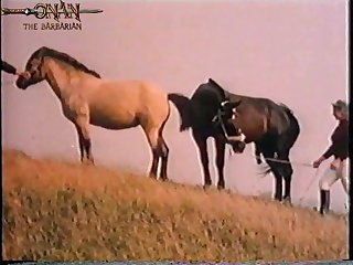 Full Movie Animal Sex