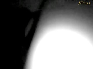 Man Fucks Animal Sex Videos