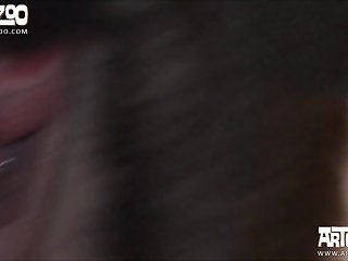 Stallion Anal Zoo Porn