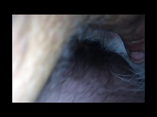 Big Ass Animal Sex