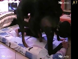 Bonnie Blue Petting Zoo Porn Footage