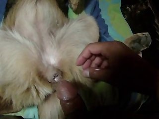 Teen Fuck Dog Porn
