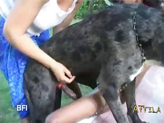 Geschichte Zoophilie