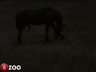 Fulfillment From The Hard Red Staff Plunging Deep Up