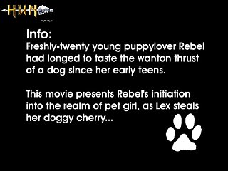 For Long Moments There Is No Sound In The Clearing But