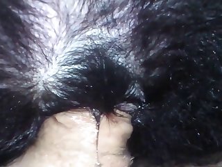 Pene De Caballo