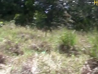 Homem Transando Com Égua