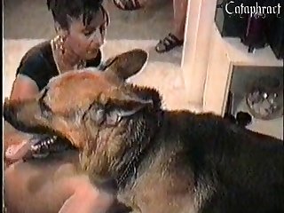 Gozando Dentro Da Cadela
