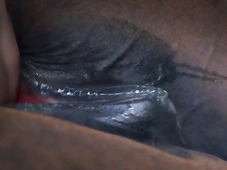 Zoophilie Sex Mit Eber