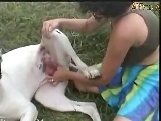 Horse And Girl Sex