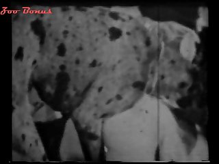 Pleasure Half In Pain Her Lustful Sucking Of His