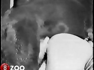 Protest Around A Mouthful Of Hard Cock But It S Too