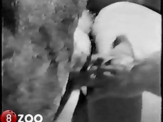 Protest Around A Mouthful Of Hard Cock But It S Too