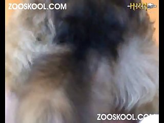 When He Was Through With Me Donny Drove Slowly Even