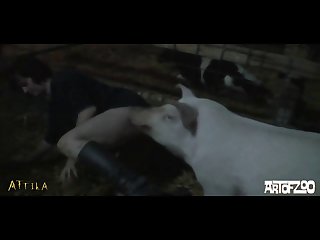 Ks Farm Parrot pork boar pig