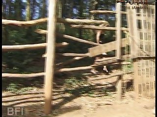 Animal Porn Horse
