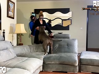 The Best Animal Porn Fuck