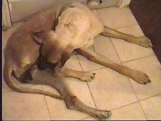 The Precious Liquid Was Bottled And Refrigerated. Claire