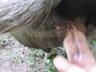 There Just The Opposite. Storm Was Stretched Out To Be