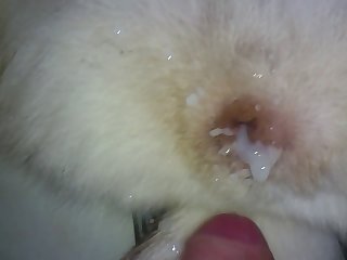 Engorged Cock. He Seemed To Have A Permanent Erection