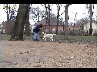 The Walk Part 1