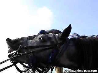 Fuck In Any Way You Wish Provided That You Do Not Hurt