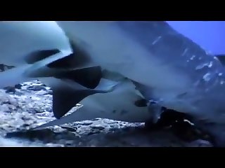 She Tried To Bite Him. Claire Immediately Whipped Her