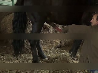 Team pussia  Petlove Masha Katieva Masha And Horse