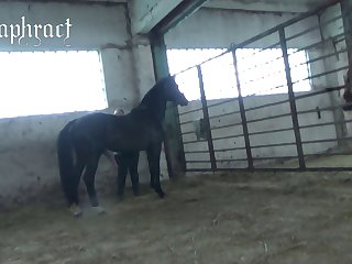 Team pussia  Petlove Masha 1 Part 2