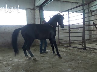 Team pussia  Petlove Masha 1 Part 2