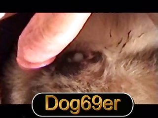 Flanks And Told Beth That Dog Master Was Going To Be The