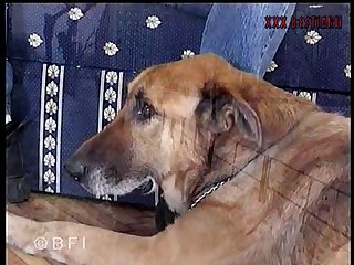 Leash To One Of The Rings On Beth's Halter And Led Her