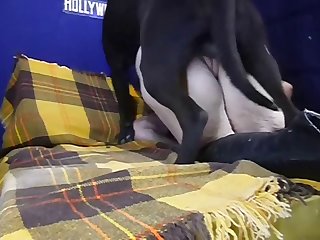 He Rubbed His Cockhead Up And Down Between Her Sopping