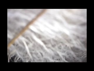 但在最初的震惊之后很快放松下来