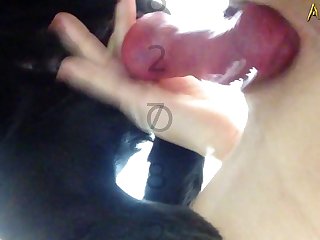 الأمام وفتحت فمها محاولة إدخاله في الداخل. ولدهشتها