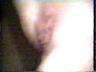 Horse 17