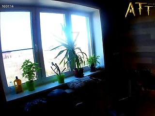 Team pussia  Petlove Jarred Heat 2