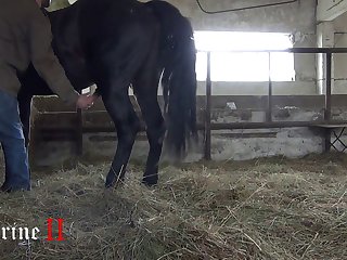 Team pussia  Petlove Masha 2 Part 2