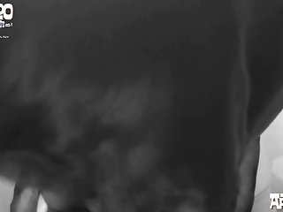 With Me Still Suspended In Midair And Totally Impaled